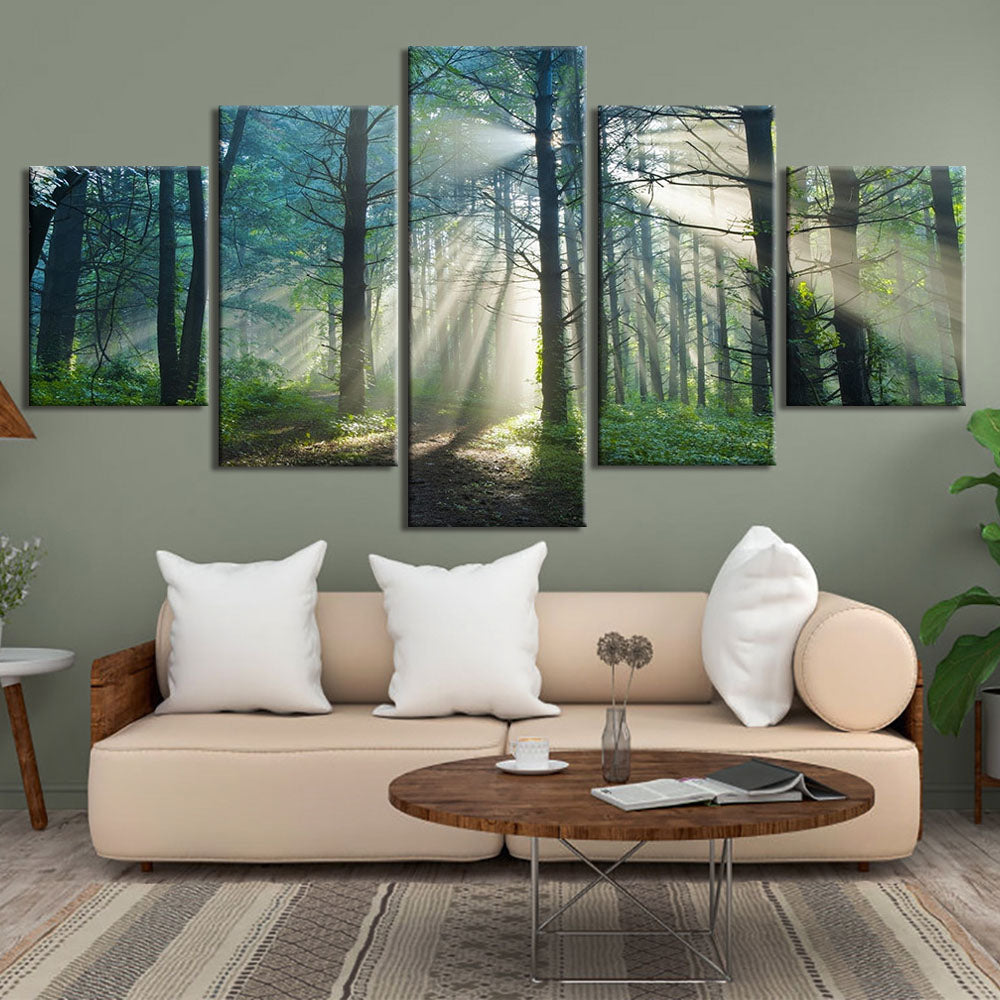 Tranquil Forest Scene